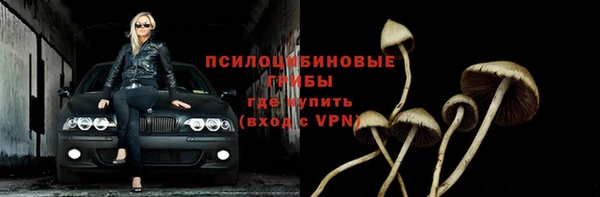 индика Баксан