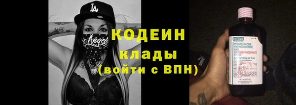 молекула духа Осташков