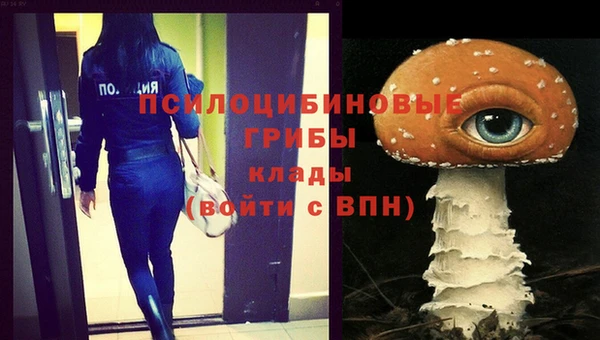 индика Баксан