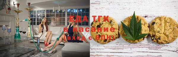 молекула духа Осташков