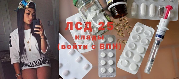 индика Баксан